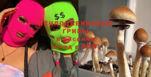 прущий лед Балахна
