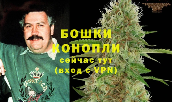 гидропоника Балабаново